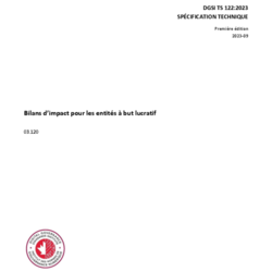 DGSI TS 122, Bilans d’impact pour les entités à but lucratif thumbnail icon